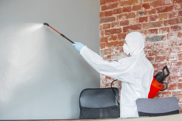 Mold Documentation for Insurance Claims in Dundalk, MD