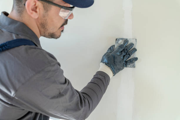 Best Black Mold Removal  in Dundalk, MD