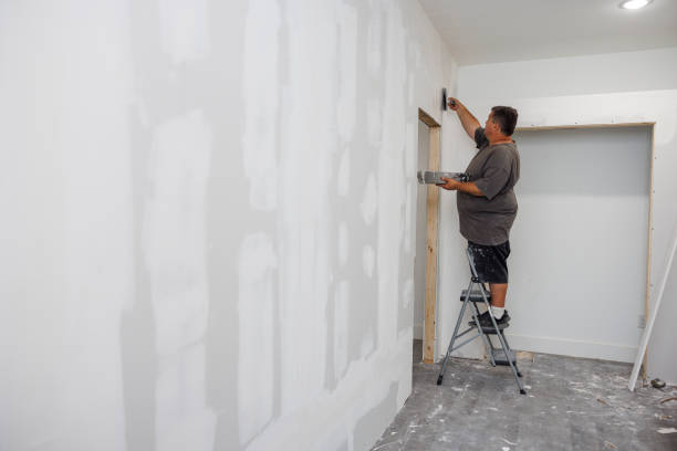 Best Crawl Space Mold Remediation  in Dundalk, MD