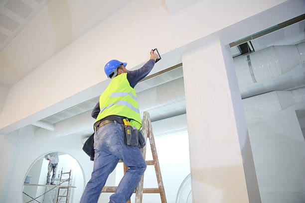 Best Comprehensive Air Testing for Mold Contaminants  in Dundalk, MD
